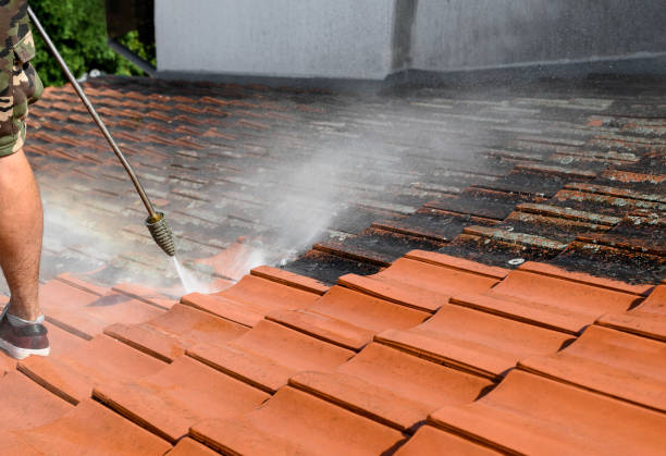Best Concrete Pressure Washing  in San Leon, TX